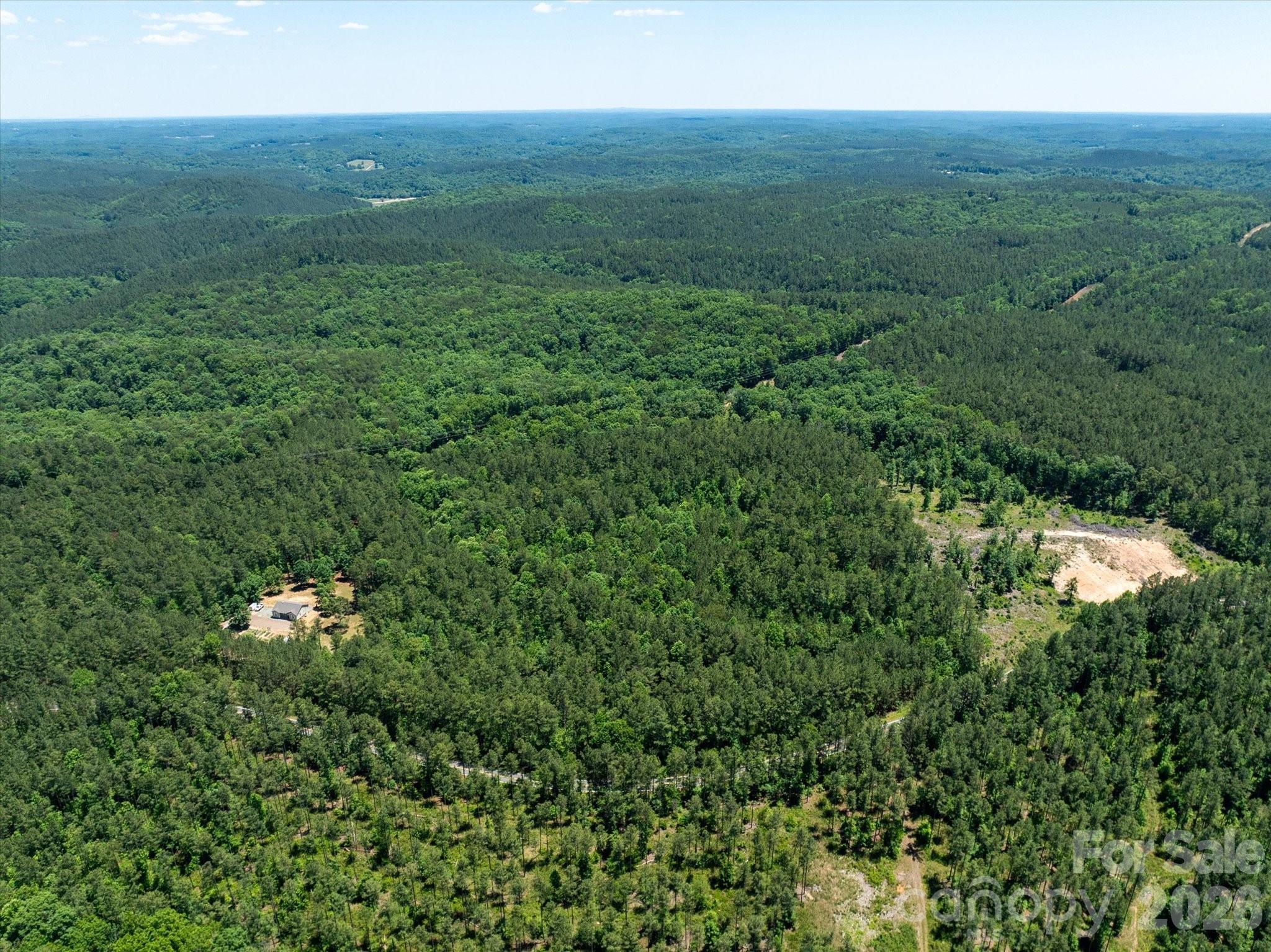 9999 Clark Road Rutherfordton, NC 28139 - Photo 12 of 19