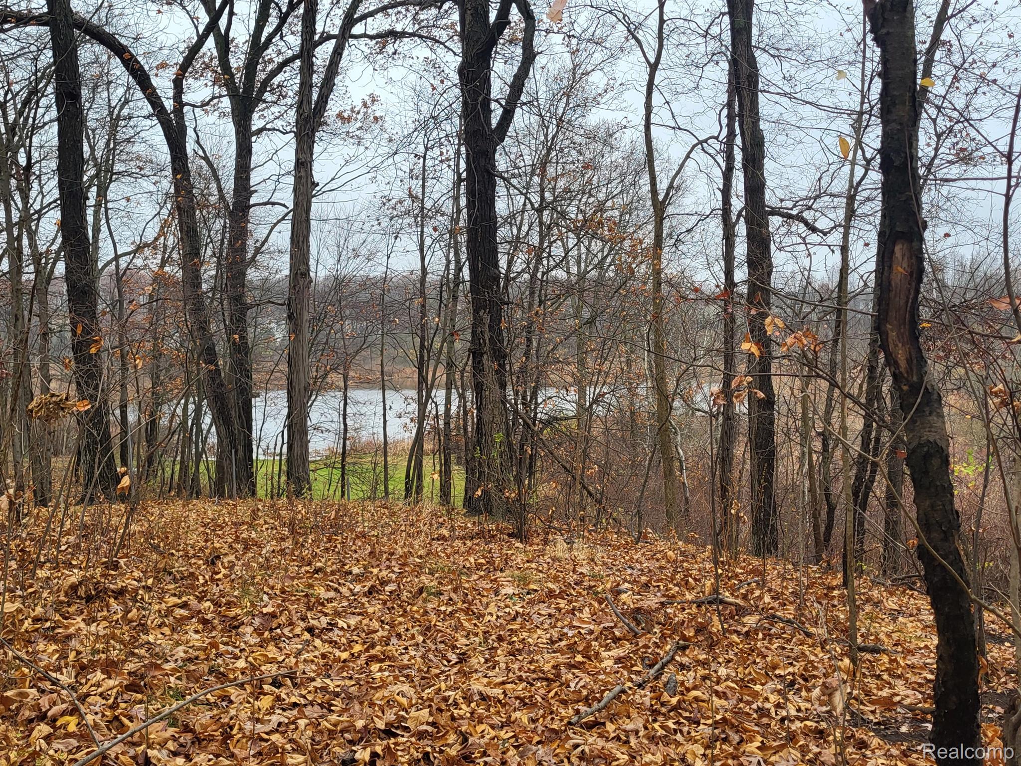 3438 Golf Club Road Howell, MI 48843 - Photo 3 of 24 Gallery Image 3