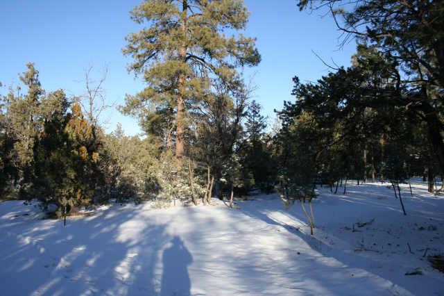 2025 Jone's Pass Overgaard, AZ 85933 - Photo 2 of 3 Additional Photo