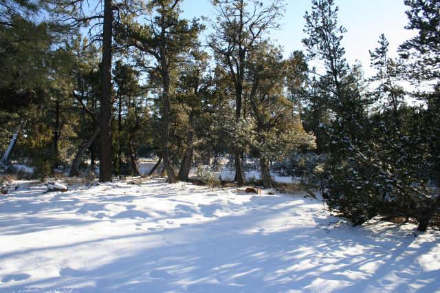 2025 Jone's Pass Overgaard, AZ 85933 - Photo 3 of 3 Additional Photo