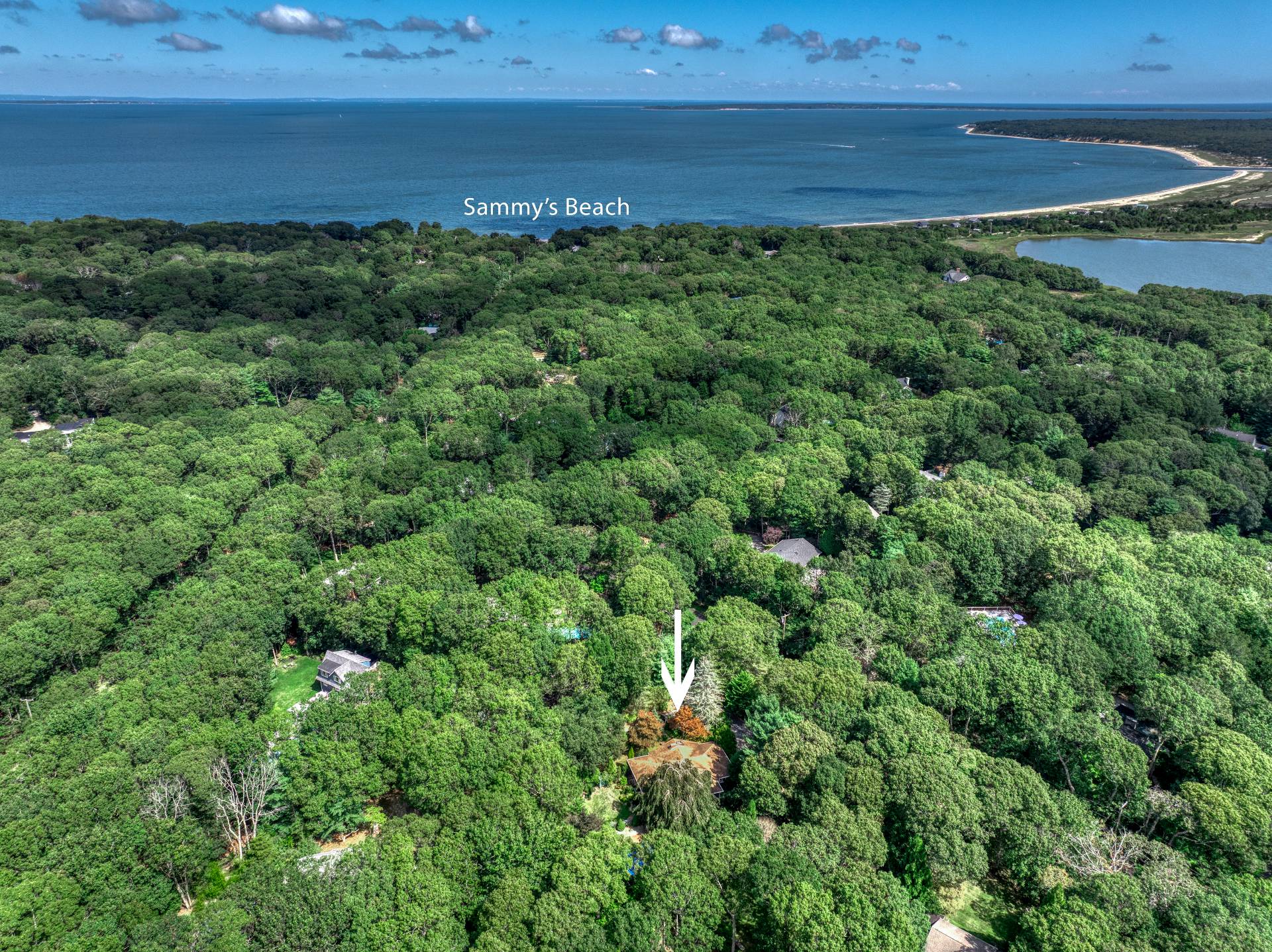 1 Abigails Path East Hampton, NY 11937 - Photo 17 of 18 a view of a field with an ocean