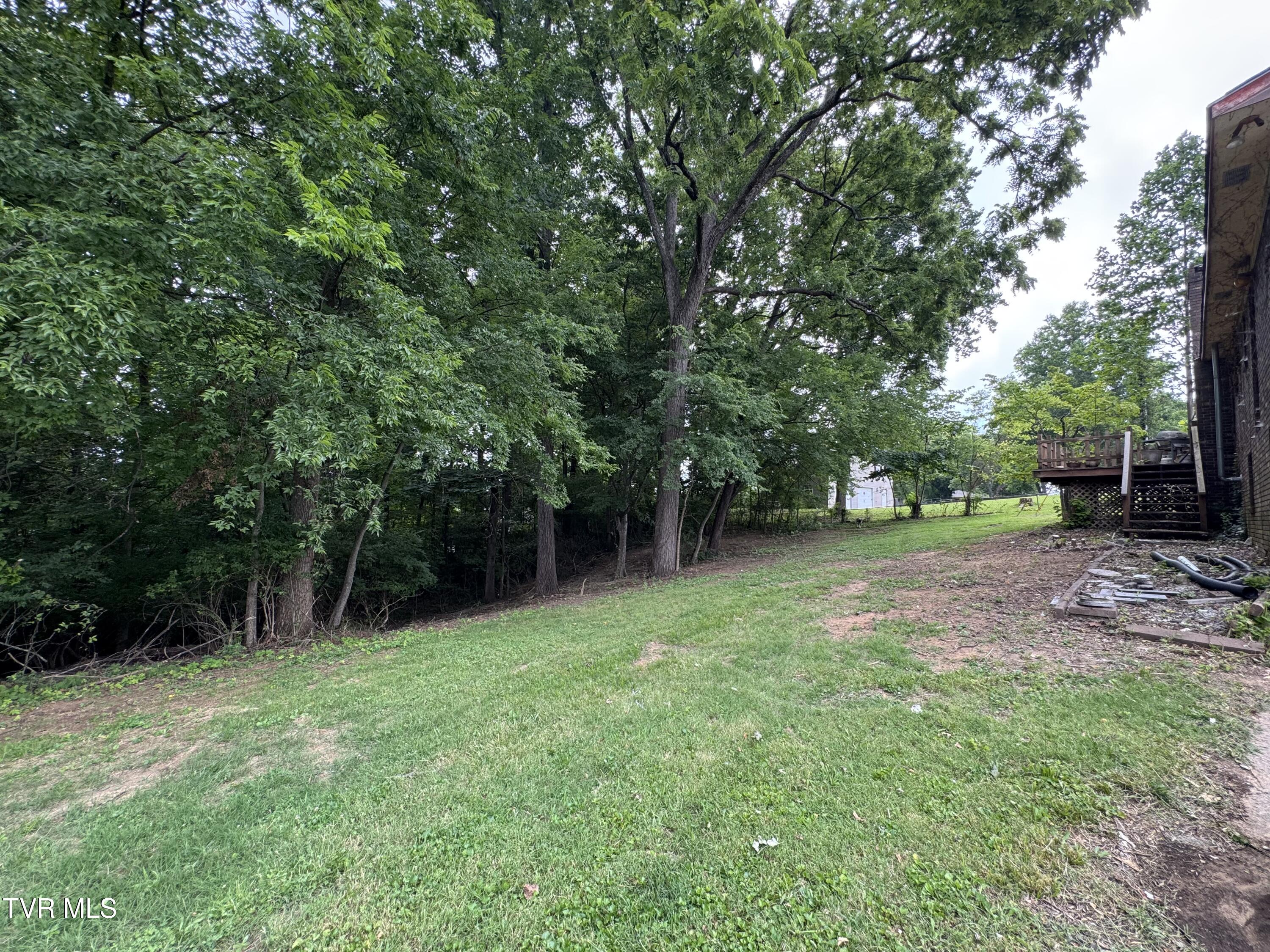 732 Greenbriar Road Talbott, TN 37877 - Photo 7 of 21 IMG_6297