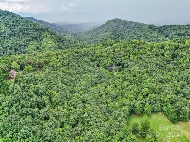 a view of a large yard with lots of green space