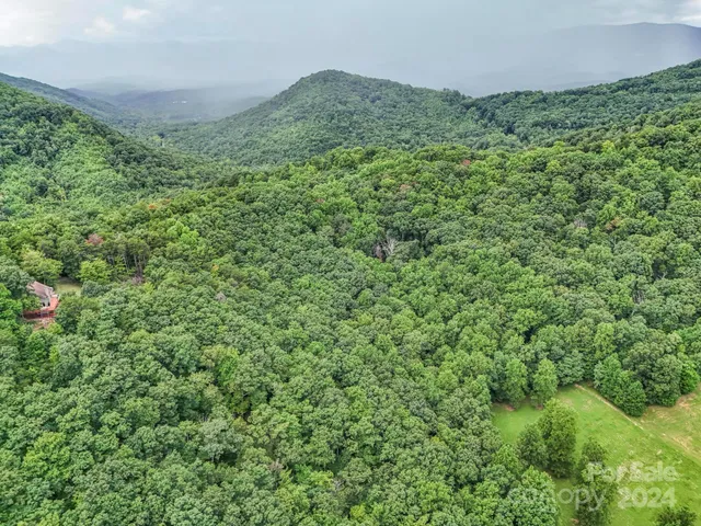 a view of a green field with lots of bushes