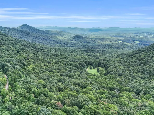 a view of a lush green forest with lush green forest