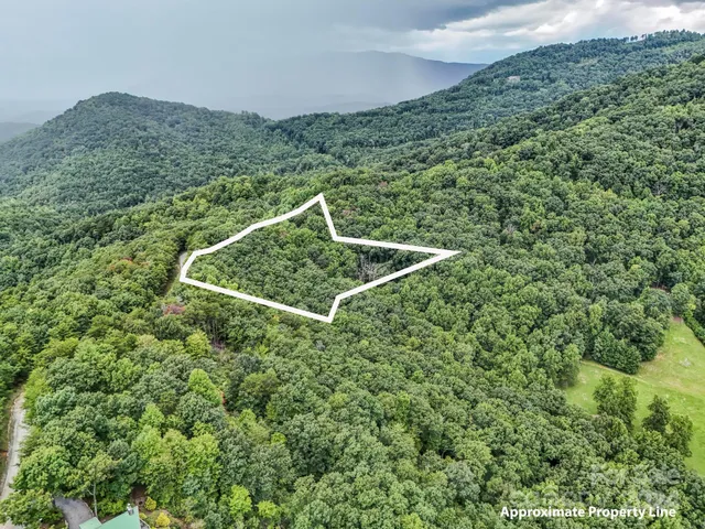 a aerial view of a house with a yard and lake view