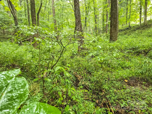 a view of a green field