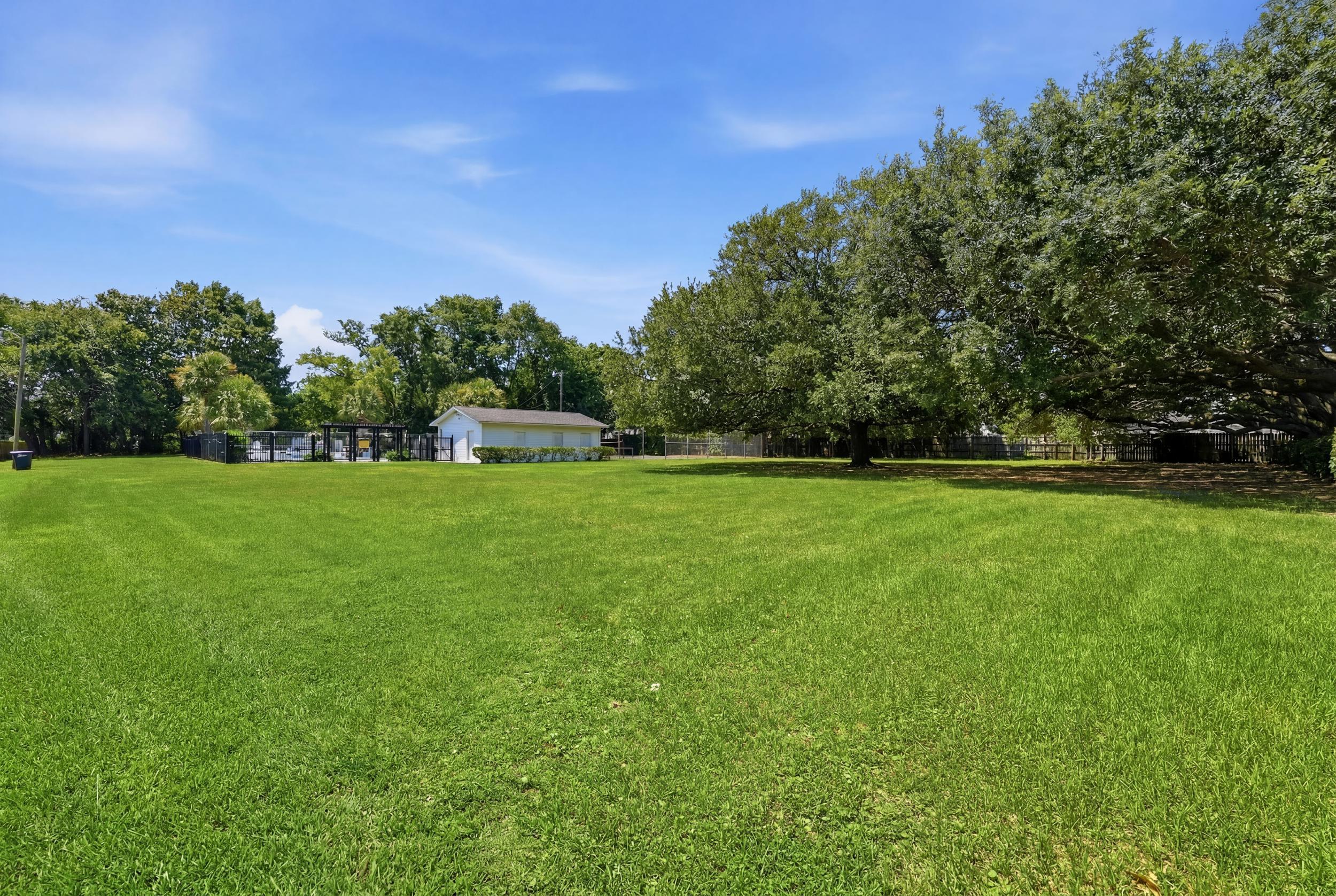 711 Center Street Mount Pleasant, SC 29464 - Photo 19 of 22 27_023_dsc06398_grass_83ed6048