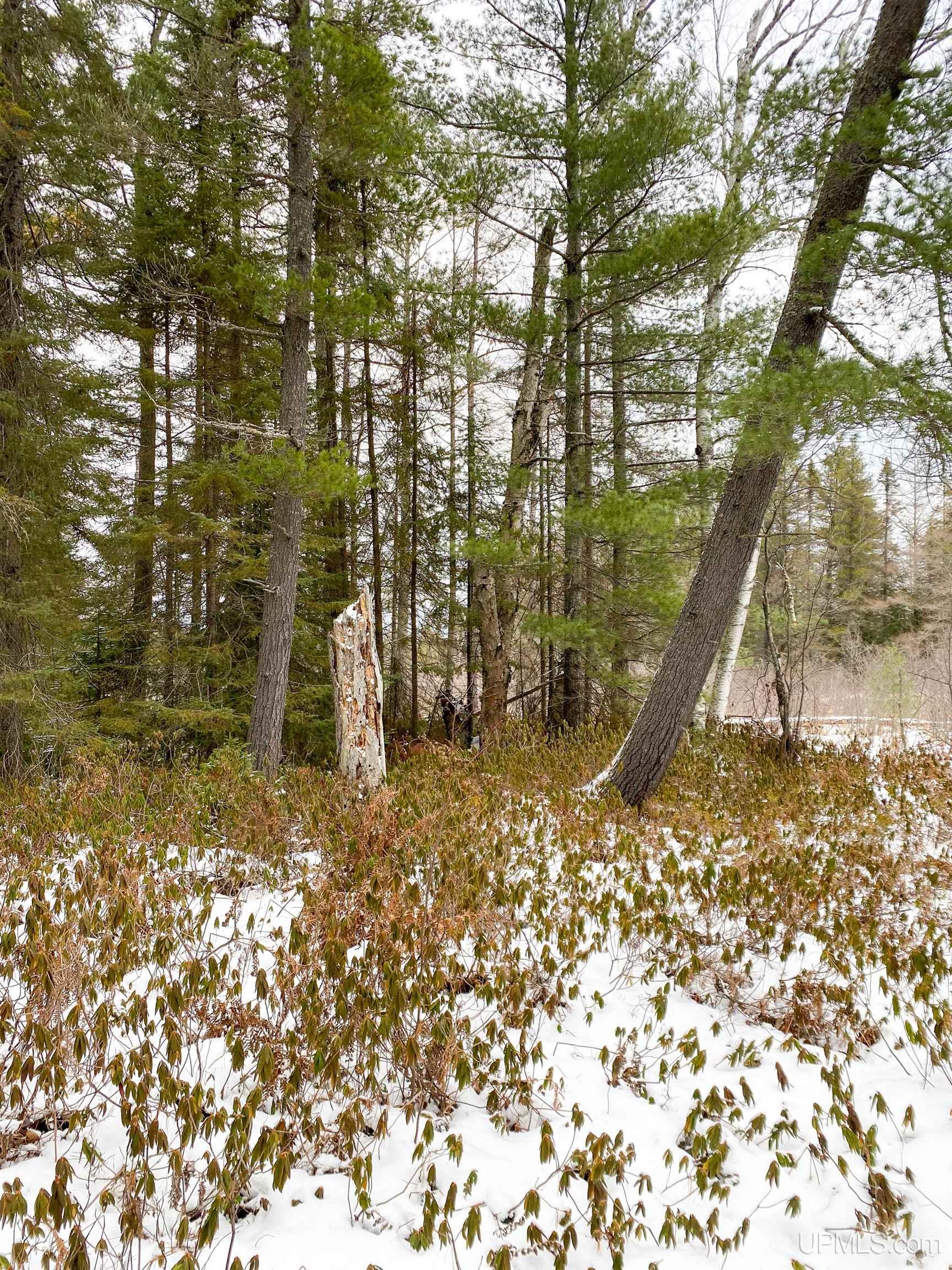 Tbd South Big Traverse Road Lake Linden, MI 49945 - Photo 13 of 35