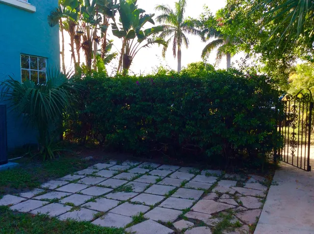 a view of a backyard