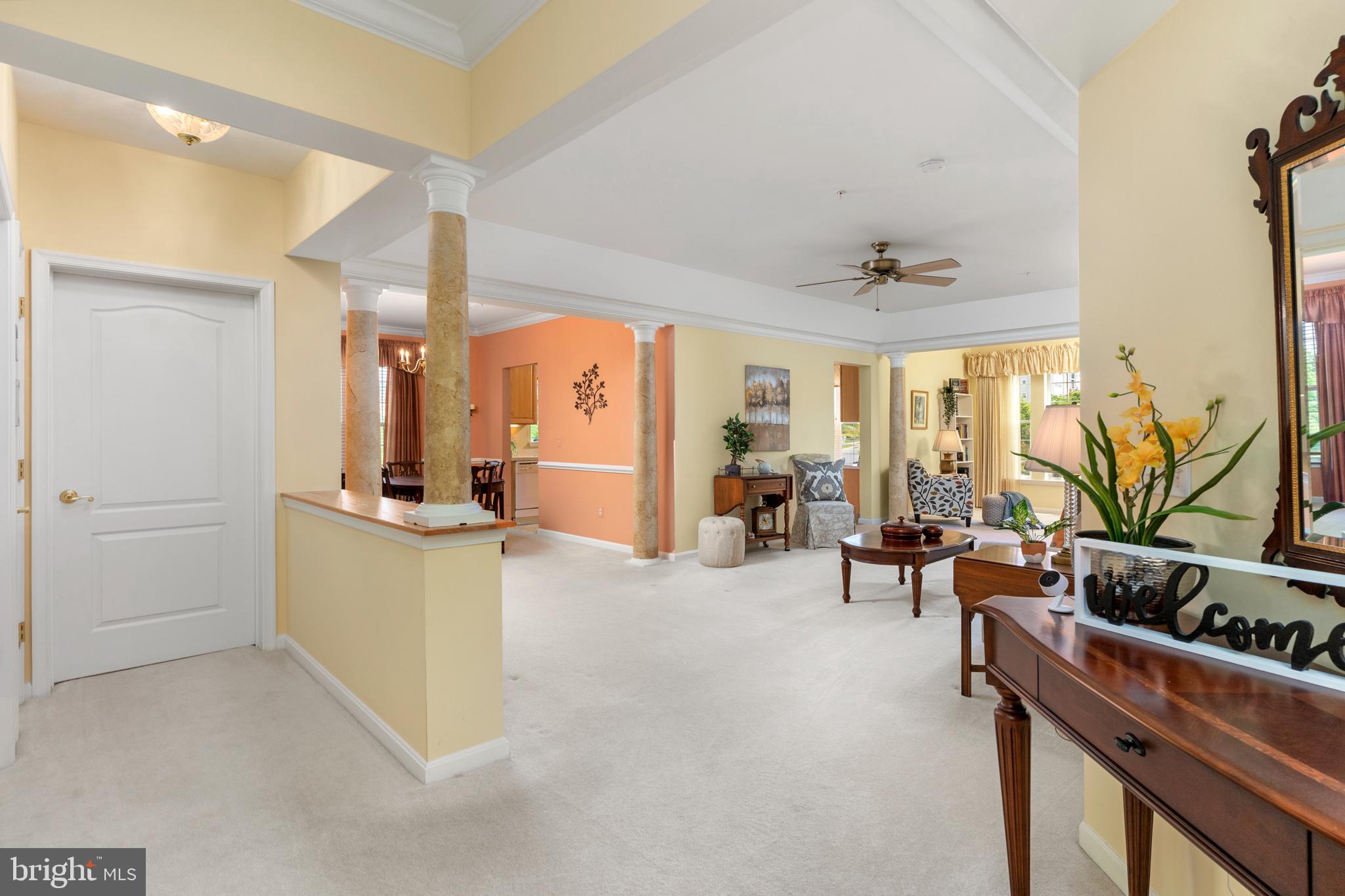 8601 Roaming Ridge Way, Unit 203 Odenton, MD 21113 - Photo 4 of 31 Foyer (alt view)