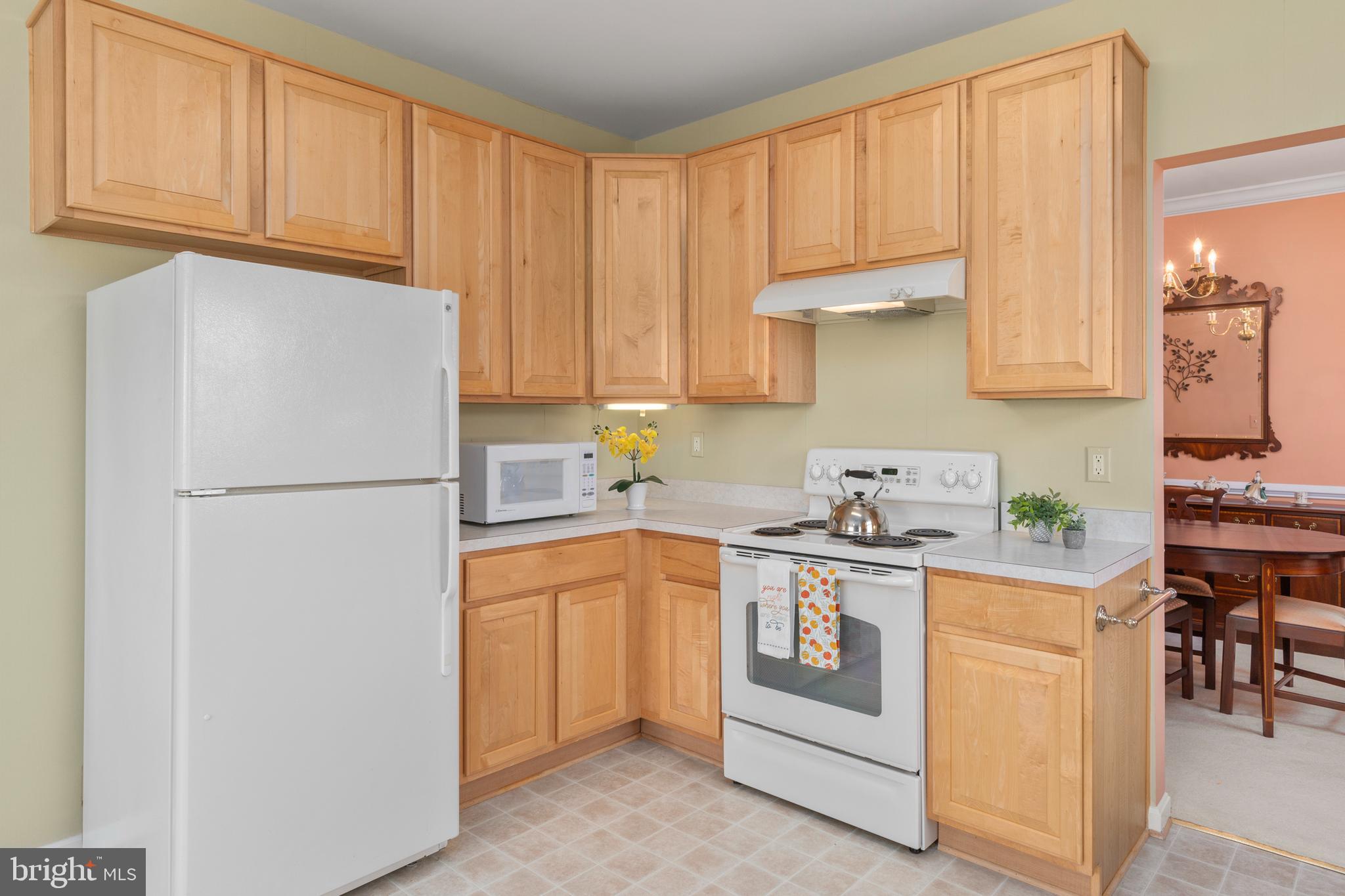 8601 Roaming Ridge Way, Unit 203 Odenton, MD 21113 - Photo 10 of 31 Kitchen (alt view)