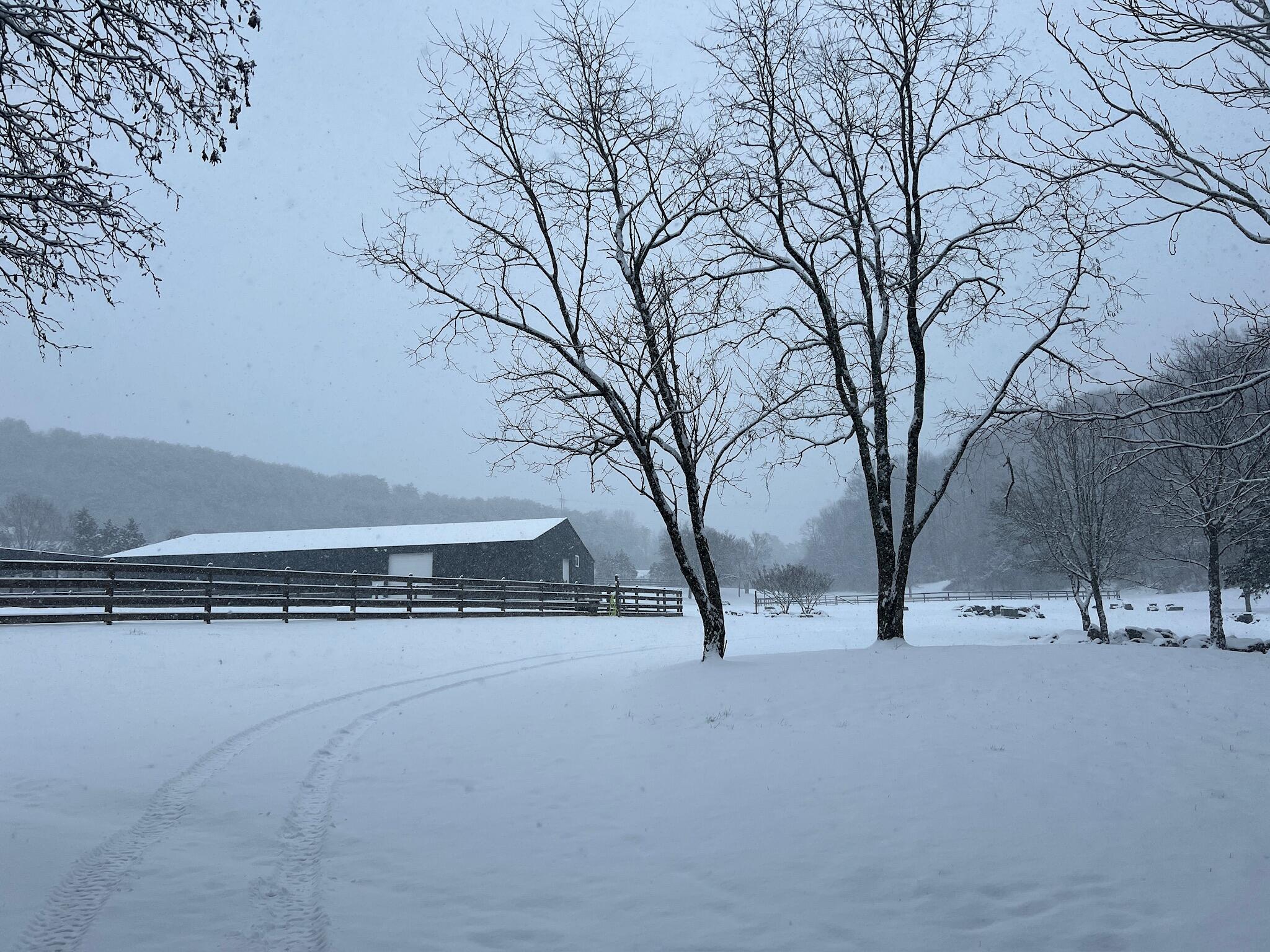 527 Reads Lake Road Chattanooga, TN 37415 - Photo 53 of 100 Barn - snow