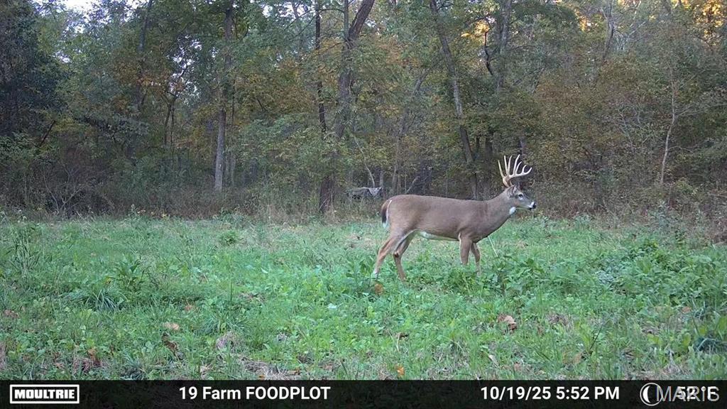 177-ac Tree Farm Road New Florence, MO 63363 - Photo 26 of 31