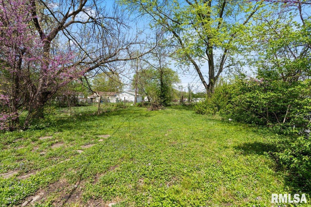 1719 Clay Street Springfield, IL 62703 - Photo 23 of 25