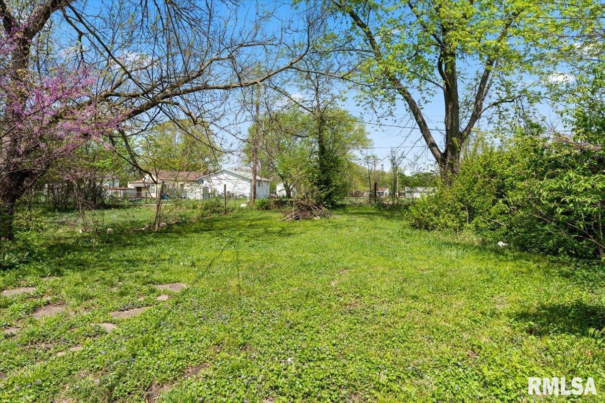 1719 Clay Street Springfield, IL 62703 - Photo 25 of 25
