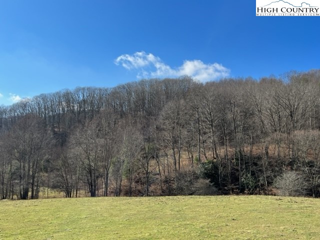 Rock Fence Road Creston, NC 28615 - Photo 2 of 13 Gallery Image 2