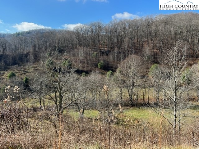 Rock Fence Road Creston, NC 28615 - Photo 3 of 13 Gallery Image 3