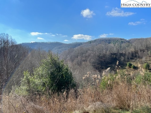 Rock Fence Road Creston, NC 28615 - Photo 4 of 13 Gallery Image 4