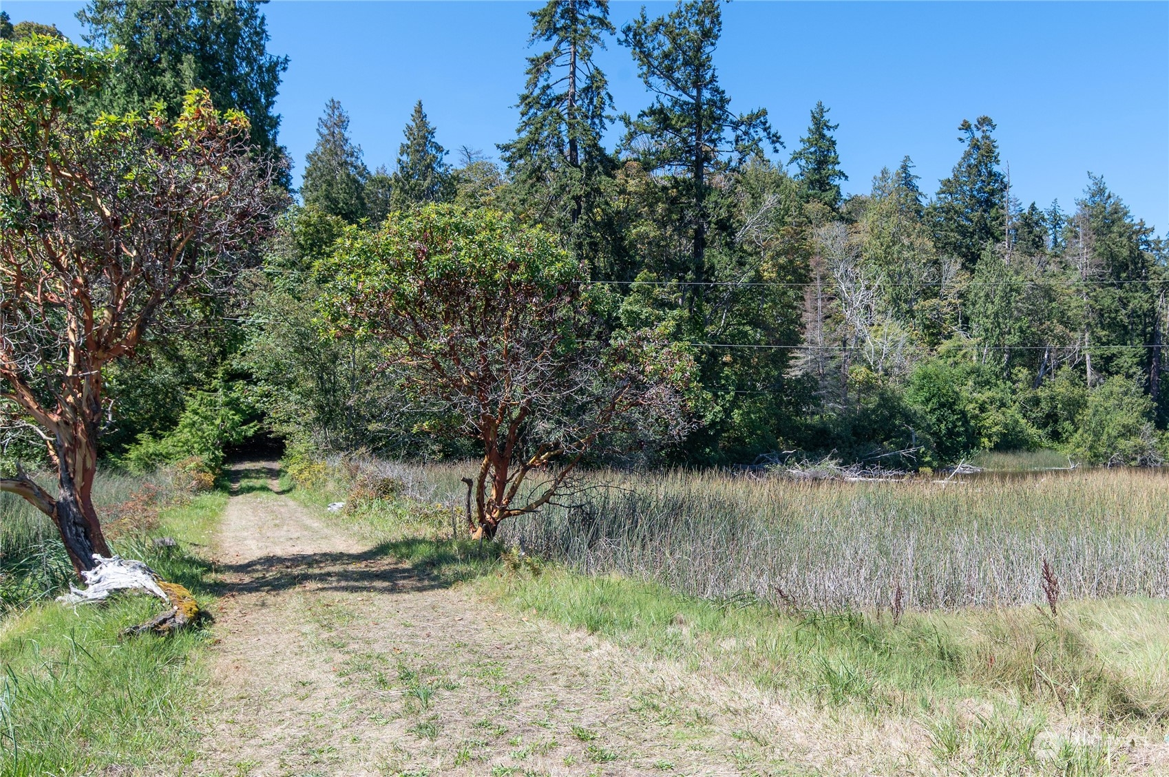 20844 President Point Road Northeast Kingston, WA 98346 - Photo 6 of 30 Gallery Image 6