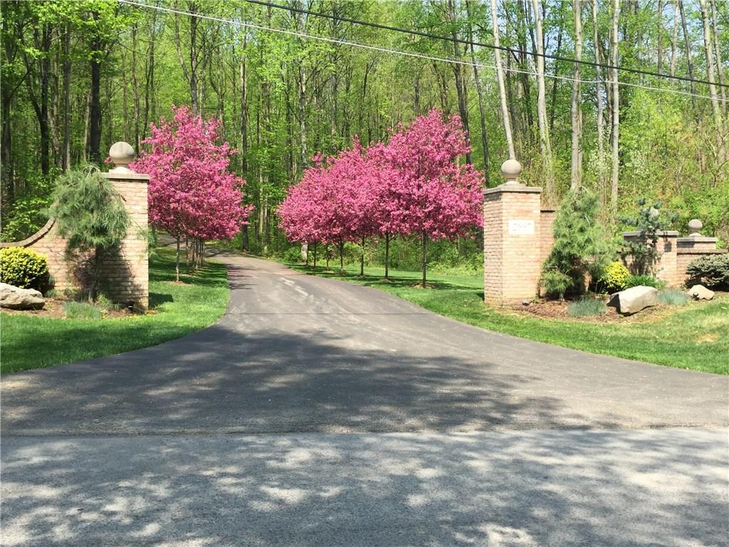 2667 Snake Run Road Wampum, PA 16157 - Photo 4 of 25