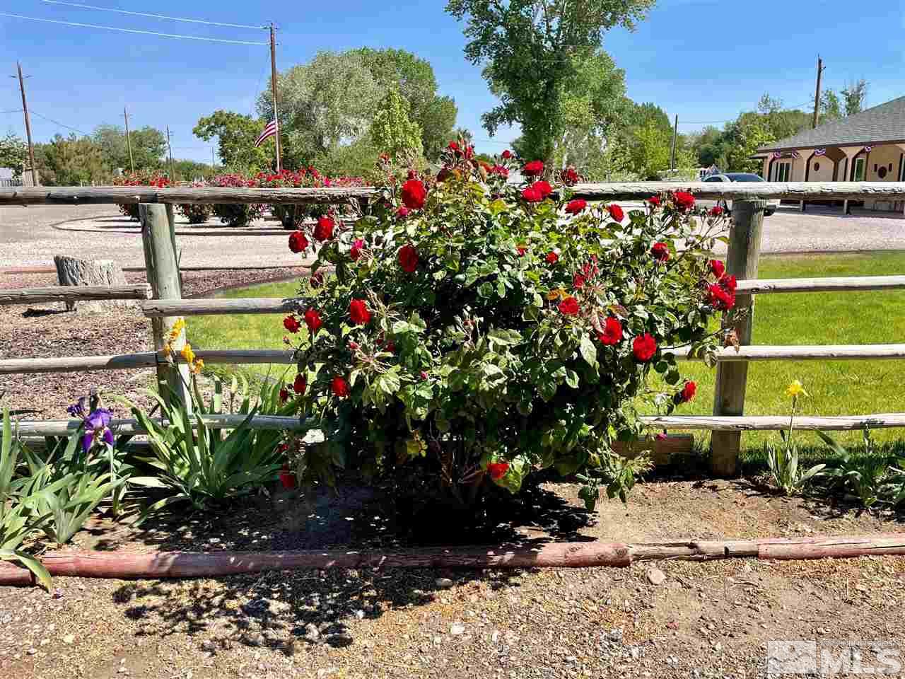 814 McLean Road Fallon, NV 89406 - Photo 27 of 40 a view of a potted flower in a yard with a fountain