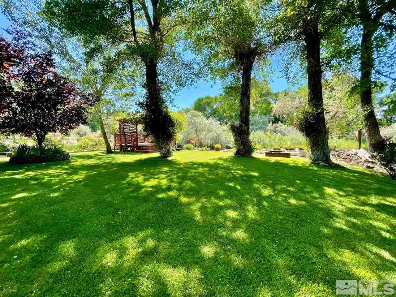 814 McLean Road Fallon, NV 89406 - Photo 31 of 40 a view of a backyard with large trees