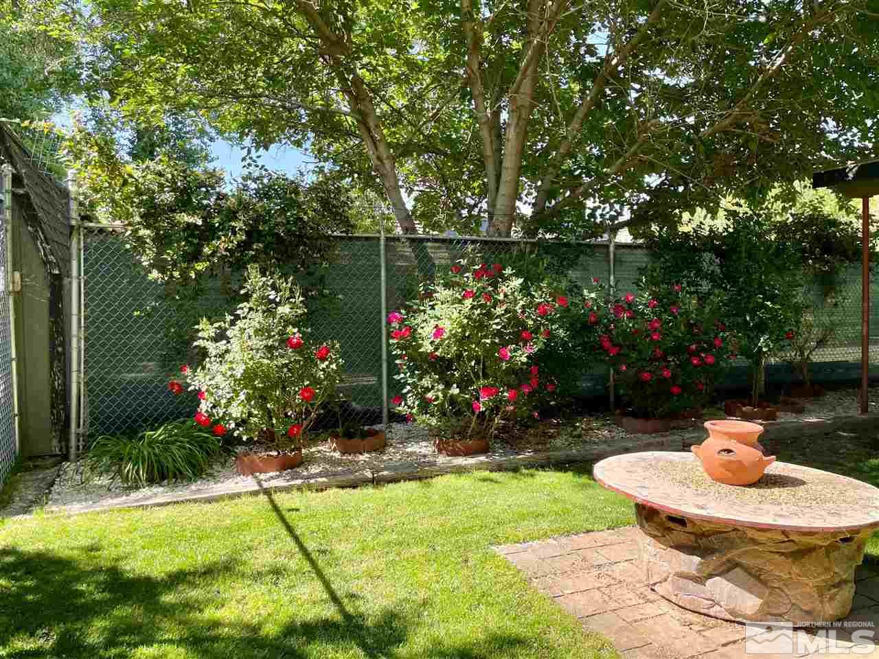 814 McLean Road Fallon, NV 89406 - Photo 39 of 40 a view of a backyard with plants and a patio
