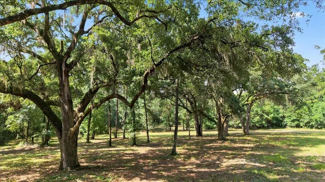 $595,000 | 4013 McCall Bridge Road, Quincy, FL 32351