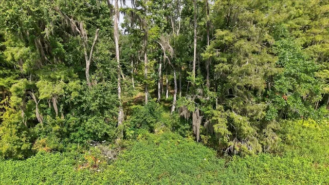 $595,000 | 4013 McCall Bridge Road, Quincy, FL 32351