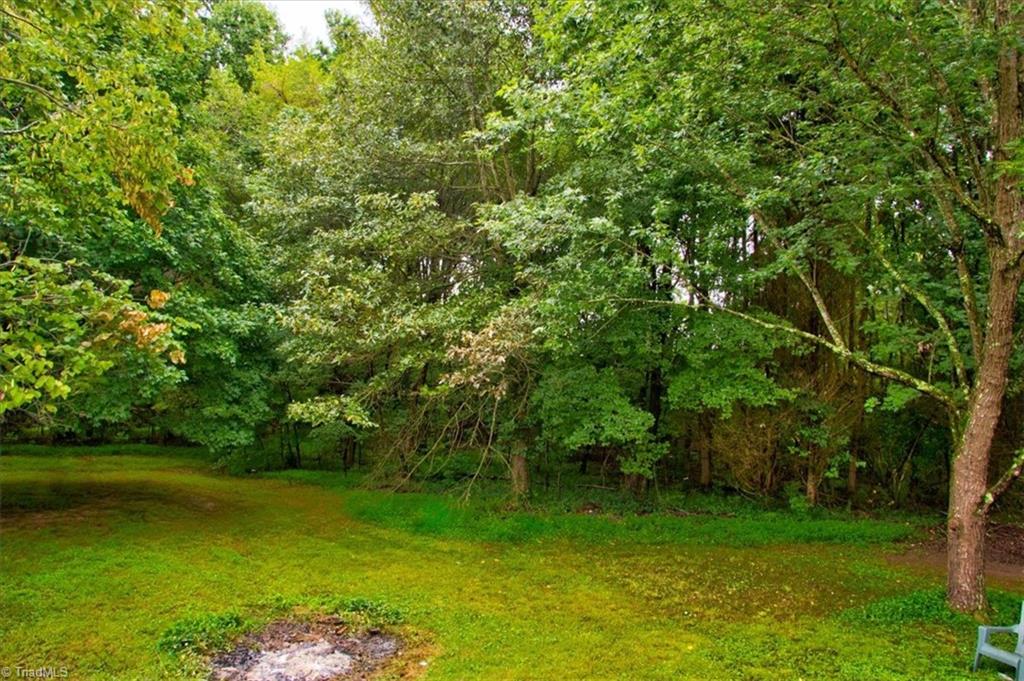 2746 Pleasant Ridge Road Summerfield, NC 27358 - Photo 35 of 36