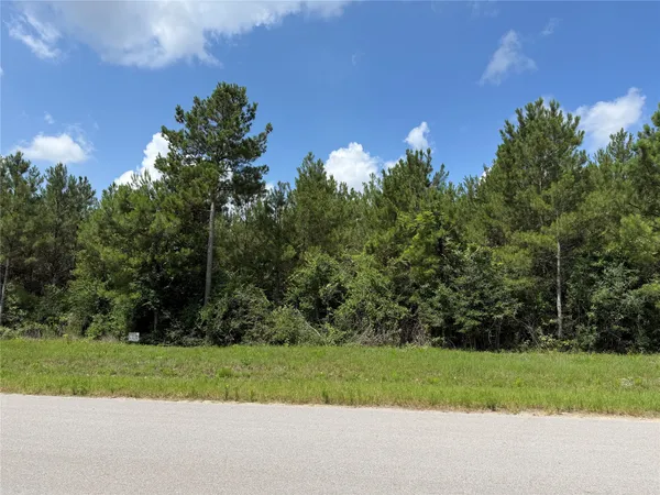 $170,000 | 15751 Wood Grv Way, Willis, TX 77378