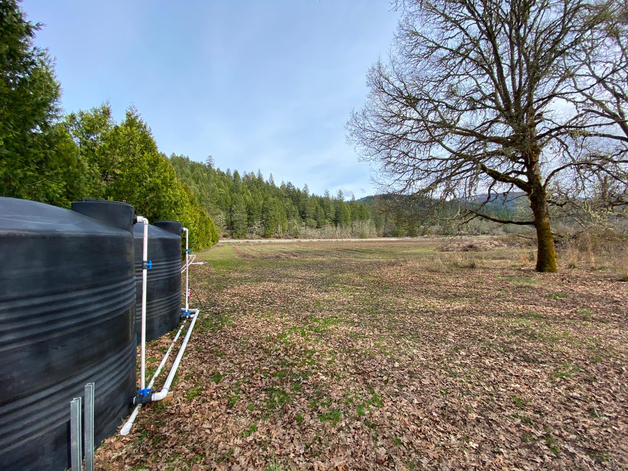 7440 Takilma Road Cave Junction, OR 97523 - Photo 29 of 36 second garden area and holding tanks