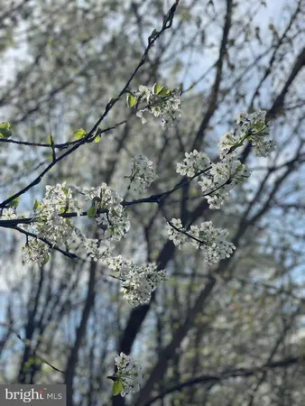 $241,000 | 2136 Rocksprings Road, Ringgold, VA 24586