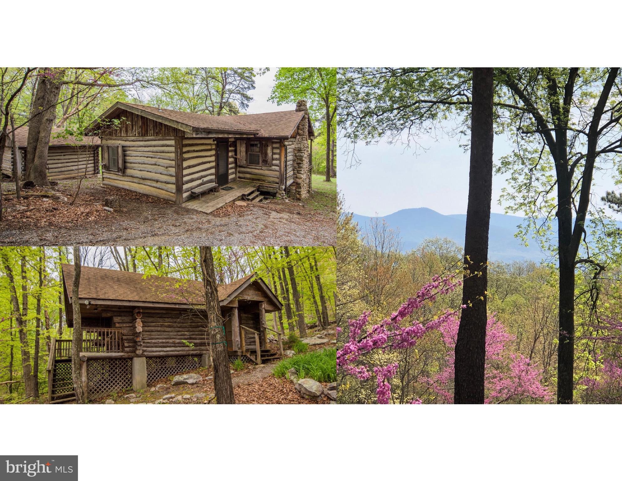 1515 Fort Valley Road Luray, VA 22835 - Photo 1 of 148 Main Cabin, Secondary Cabin, & Deck Mountain View