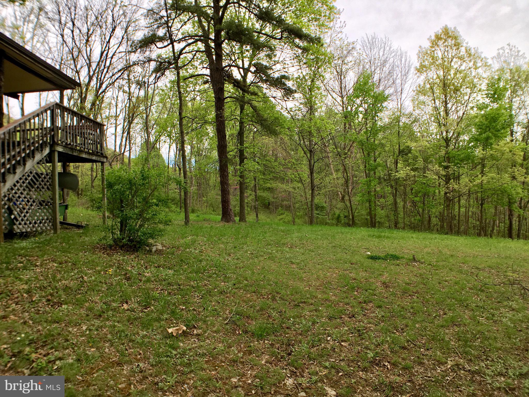 1515 Fort Valley Road Luray, VA 22835 - Photo 101 of 148 View from Rear Yard - Main Cabin