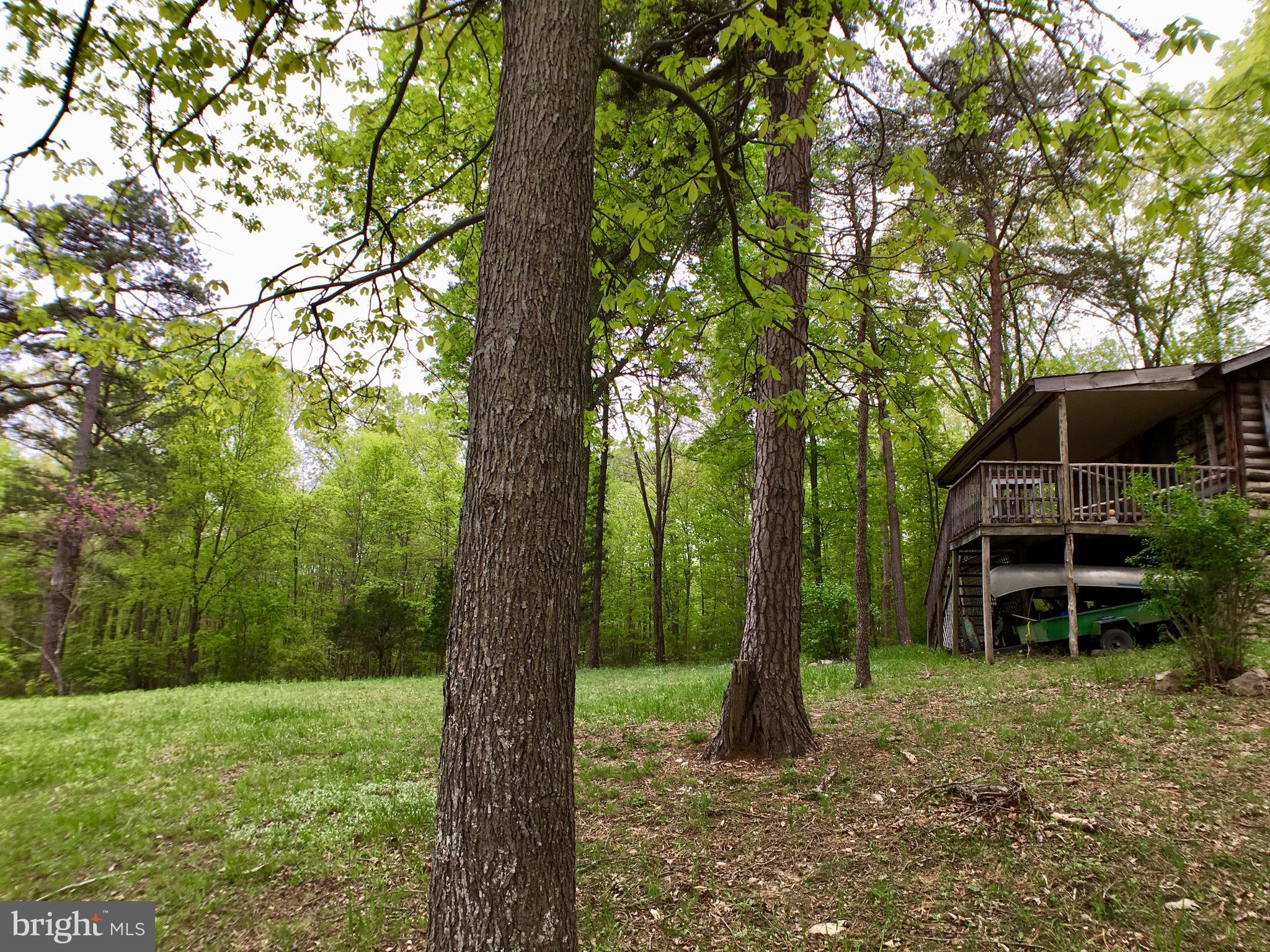 1515 Fort Valley Road Luray, VA 22835 - Photo 103 of 148 Side View of Rear Yard & Main Cabin