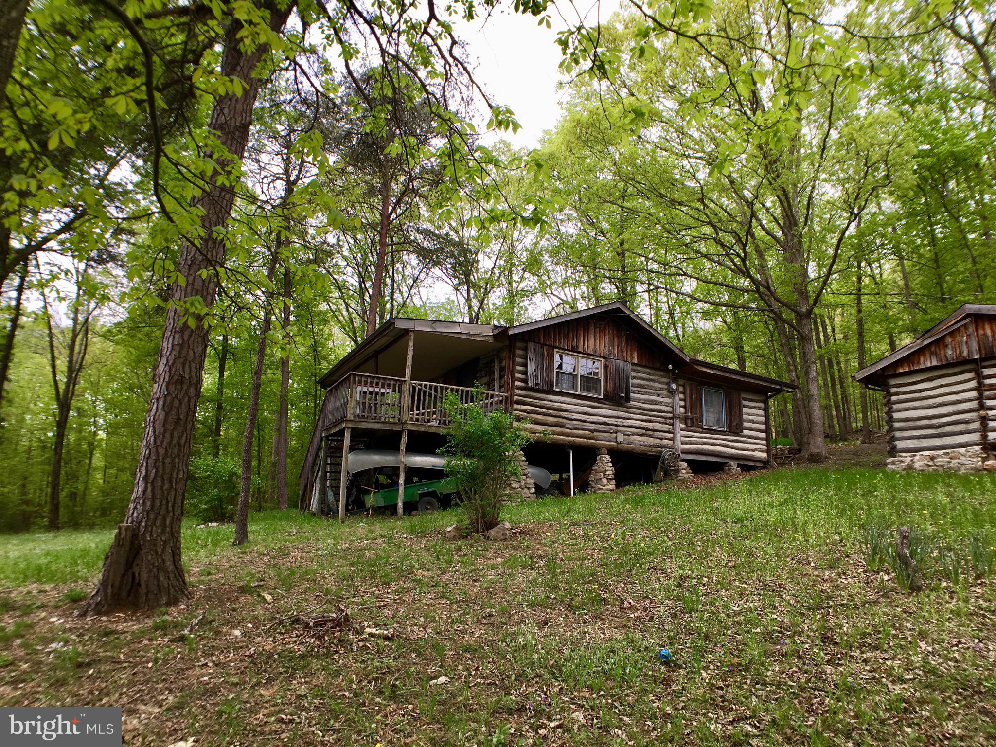 1515 Fort Valley Road Luray, VA 22835 - Photo 104 of 148 Side View of Main Cabin & Workshop