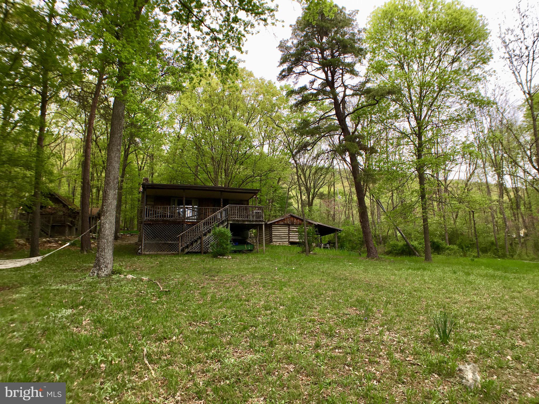 1515 Fort Valley Road Luray, VA 22835 - Photo 107 of 148 View from Rear - 2nd Cabin, Main Cabin, & Workshop