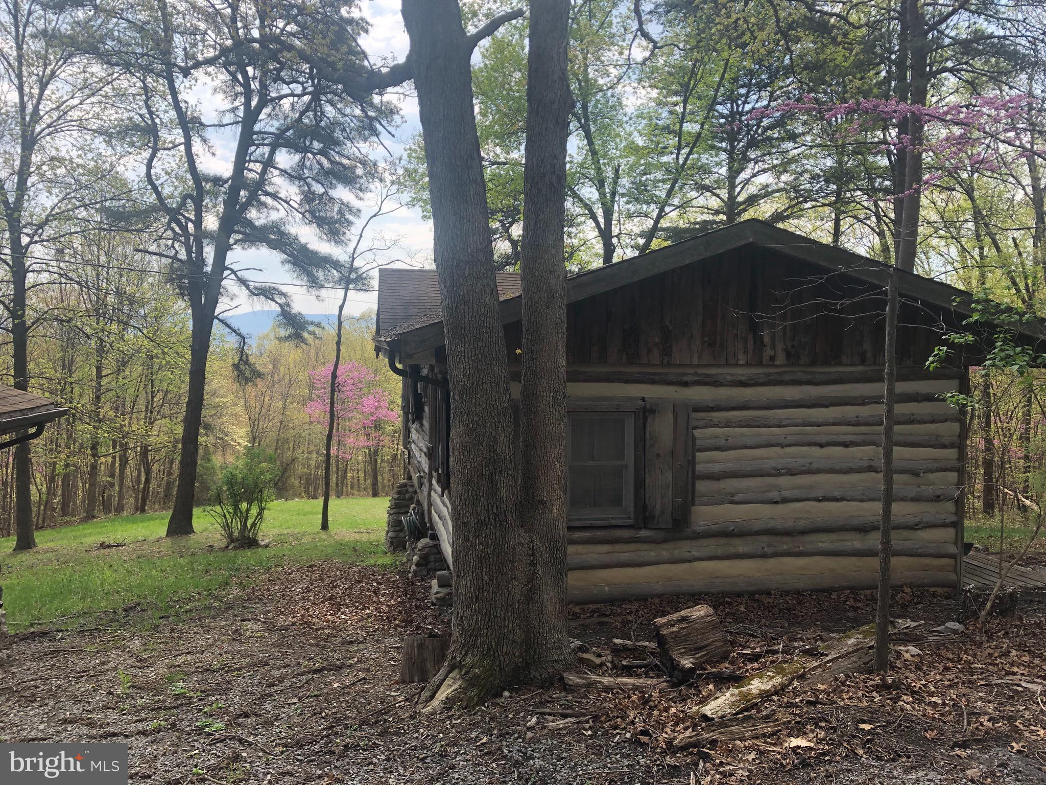 1515 Fort Valley Road Luray, VA 22835 - Photo 108 of 148 Front View of Main Cabin