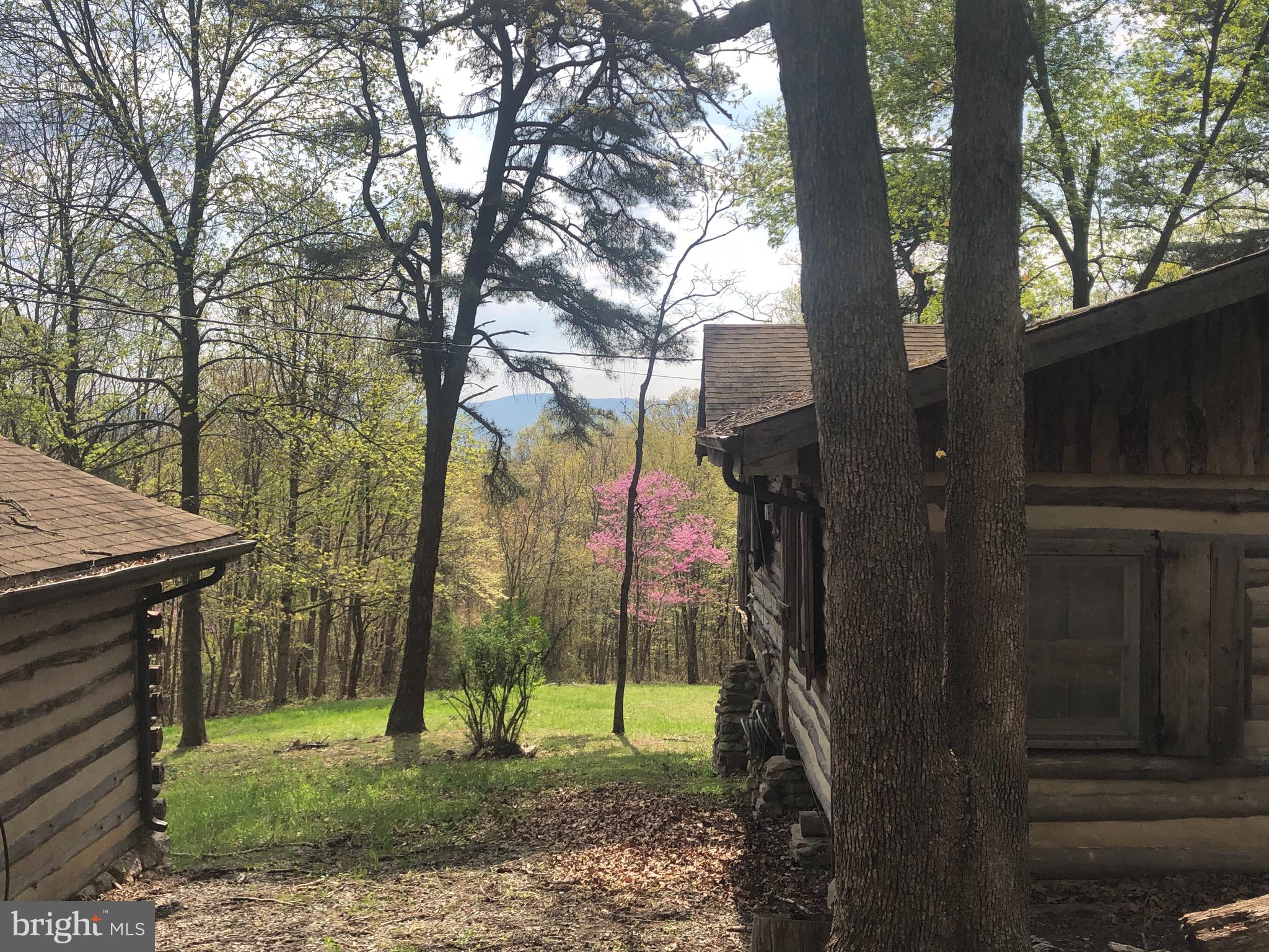 1515 Fort Valley Road Luray, VA 22835 - Photo 109 of 148 Mountain View between Main Cabin & Workshop