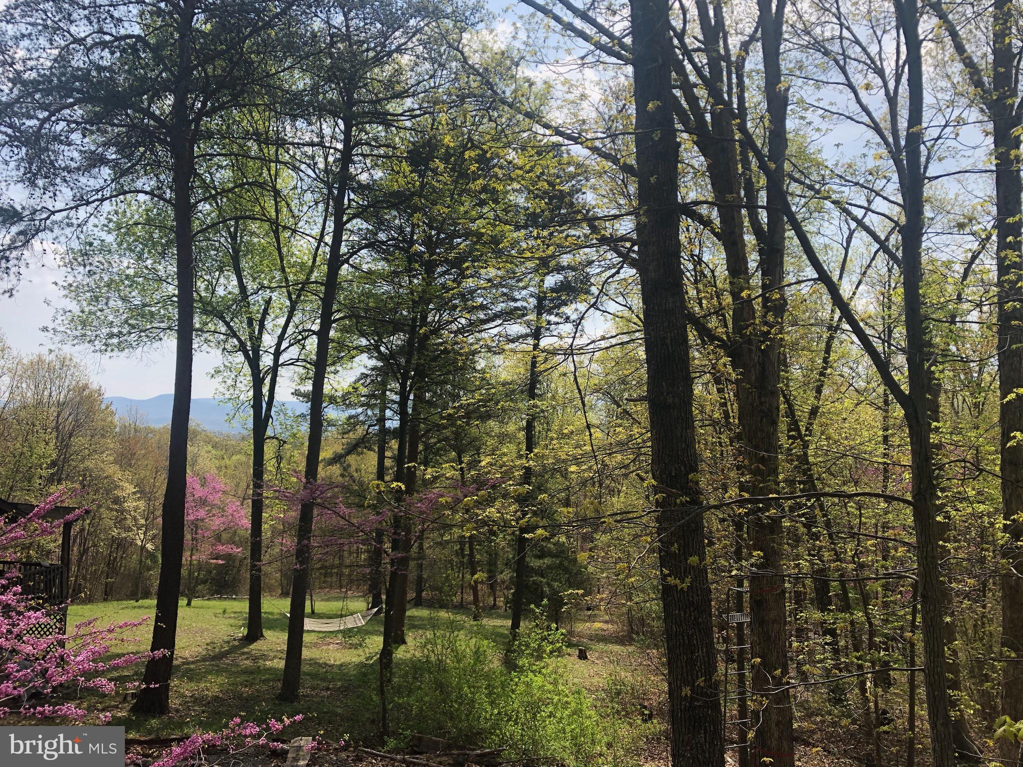 1515 Fort Valley Road Luray, VA 22835 - Photo 112 of 148 Mountain View from Deck