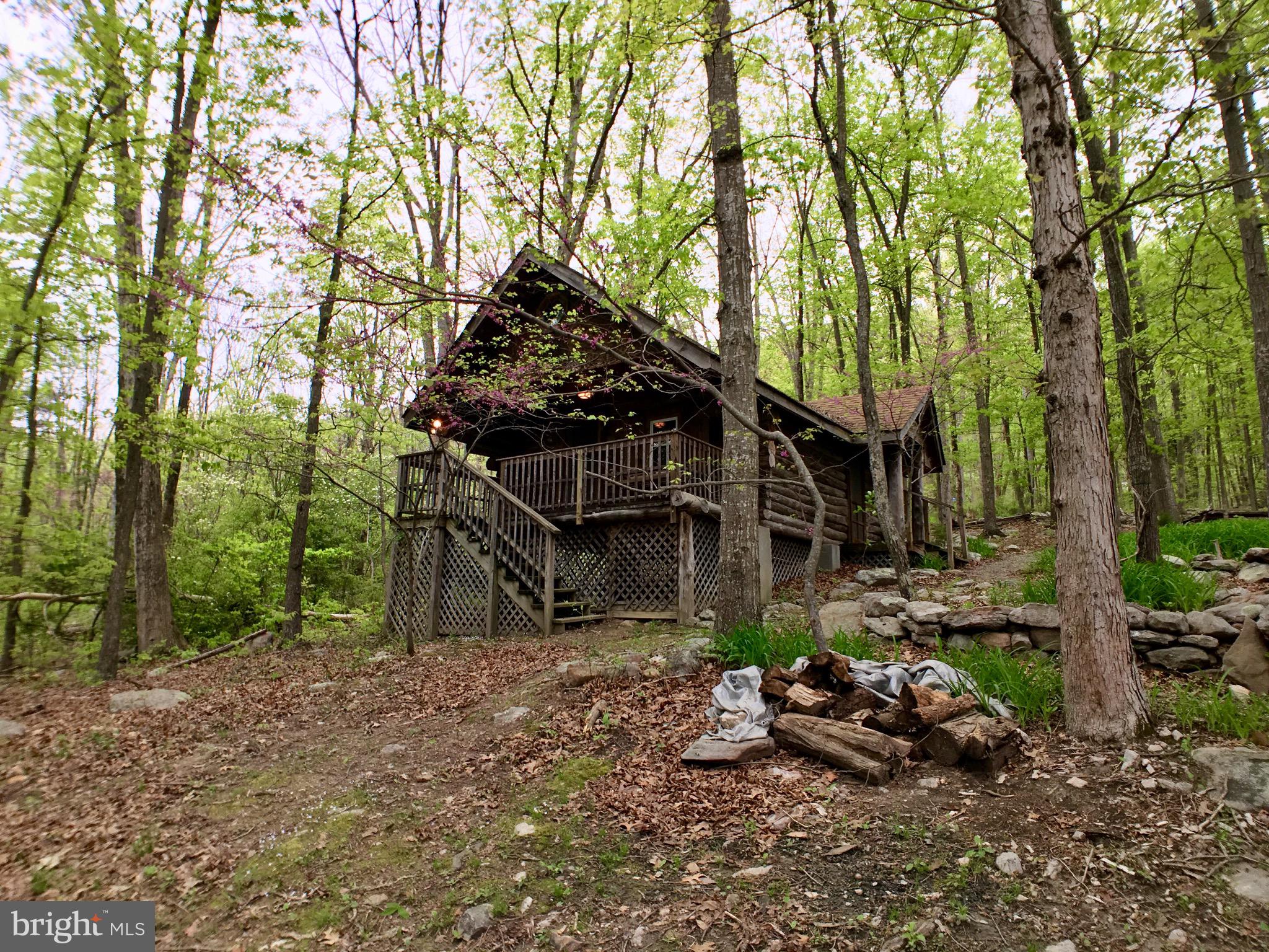 1515 Fort Valley Road Luray, VA 22835 - Photo 115 of 148 Rear Exterior - Secondary Cabin