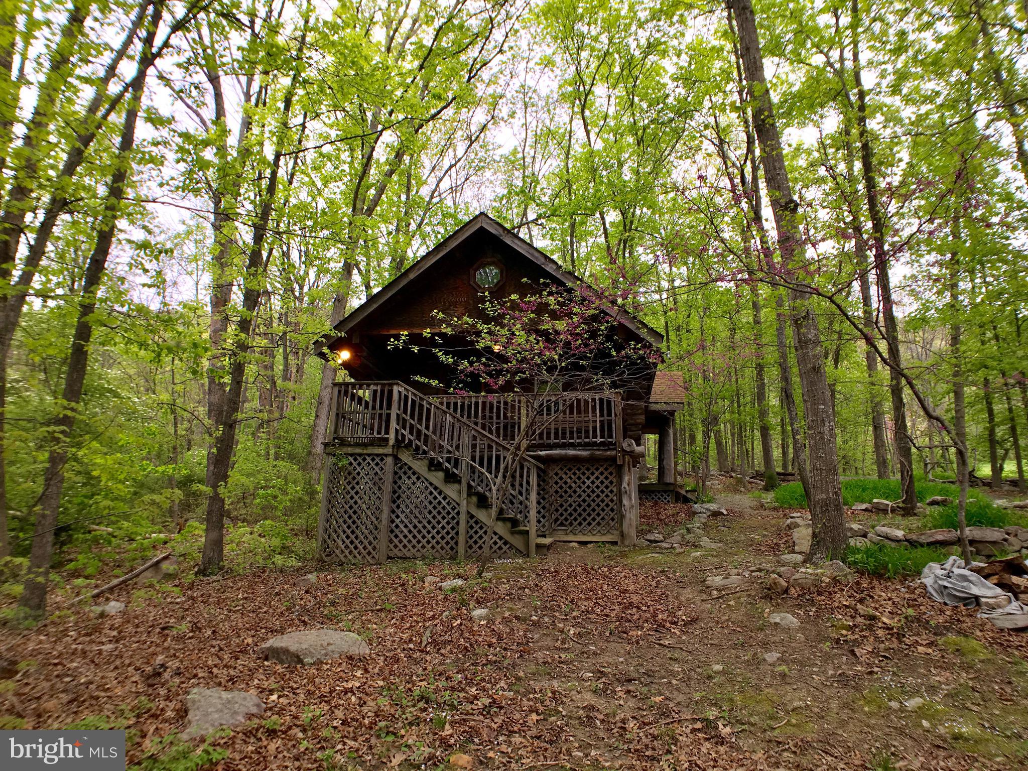 1515 Fort Valley Road Luray, VA 22835 - Photo 116 of 148 Rear Exterior - Secondary Cabin