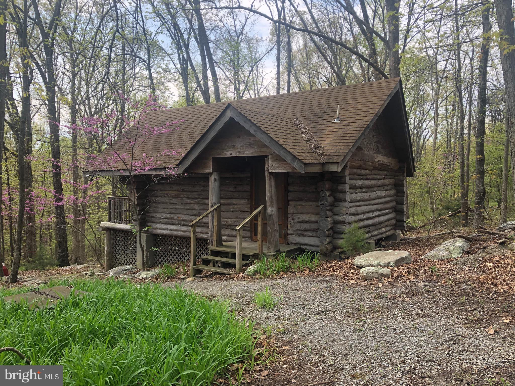1515 Fort Valley Road Luray, VA 22835 - Photo 118 of 148 Front Exterior - Secondary Cabin