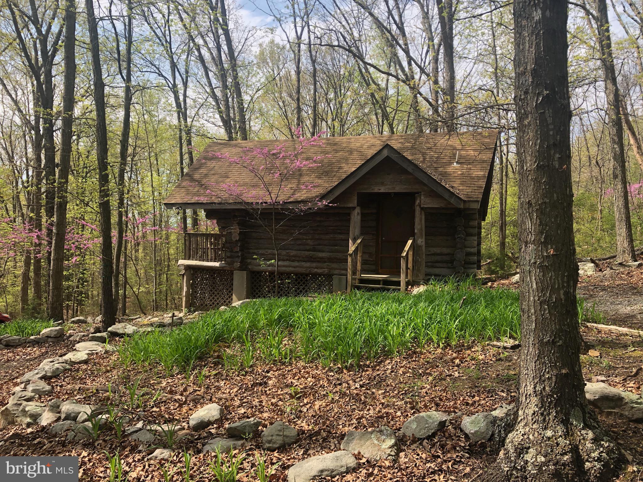 1515 Fort Valley Road Luray, VA 22835 - Photo 120 of 148 Exterior - Secondary Cabin