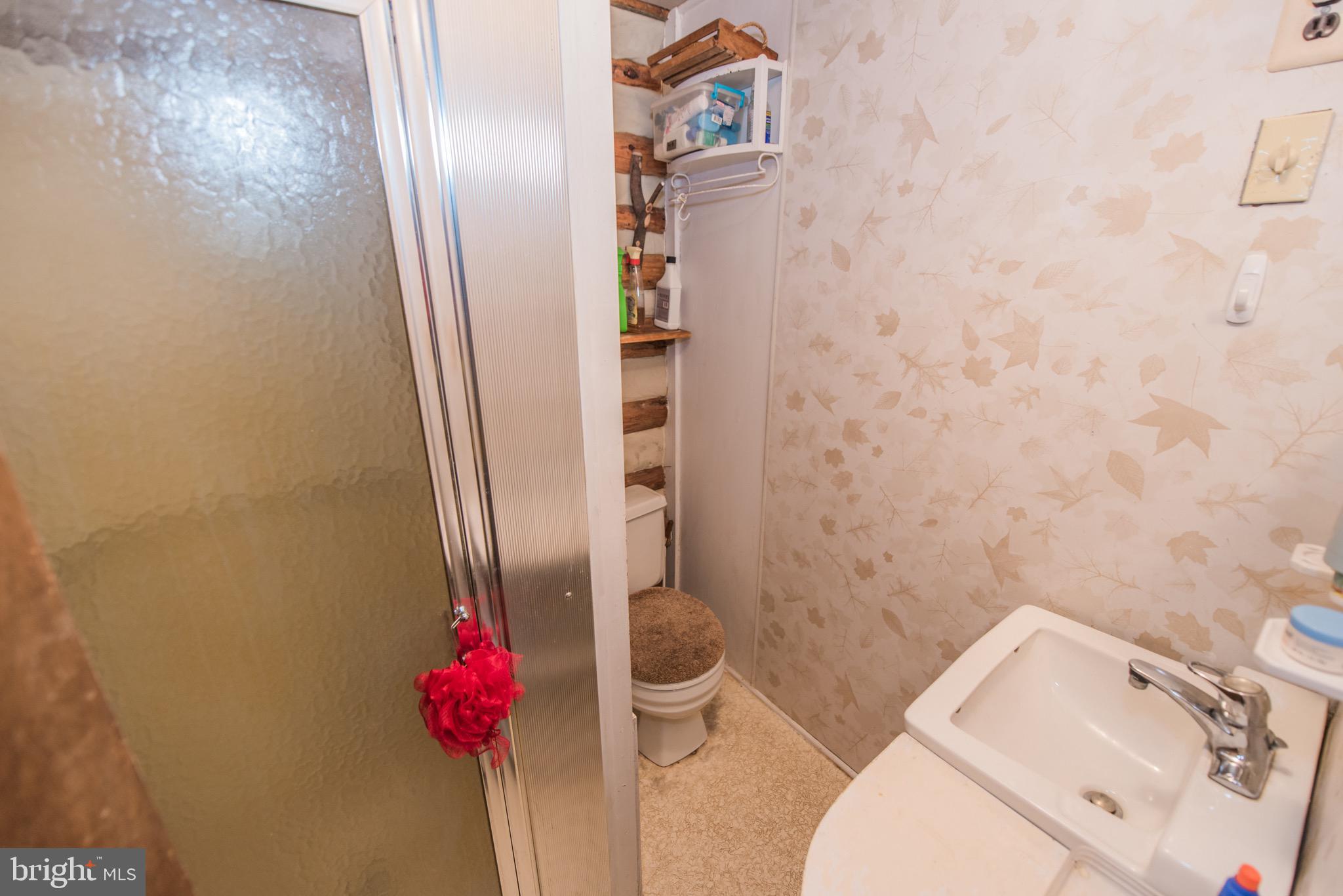 1515 Fort Valley Road Luray, VA 22835 - Photo 12 of 148 Main Cabin - Full Bathroom