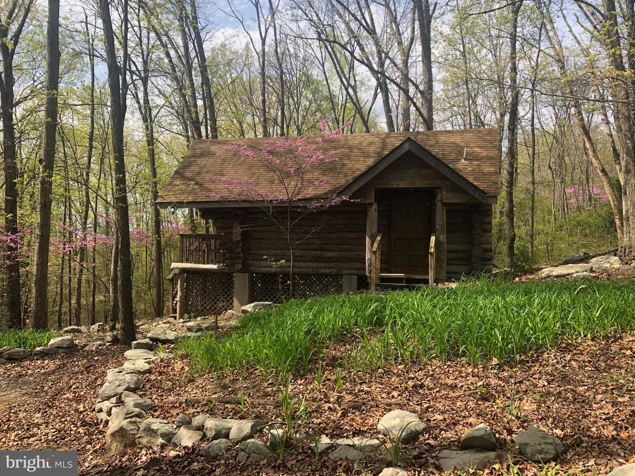 1515 Fort Valley Road Luray, VA 22835 - Photo 121 of 148 Front Exterior - Secondary Cabin