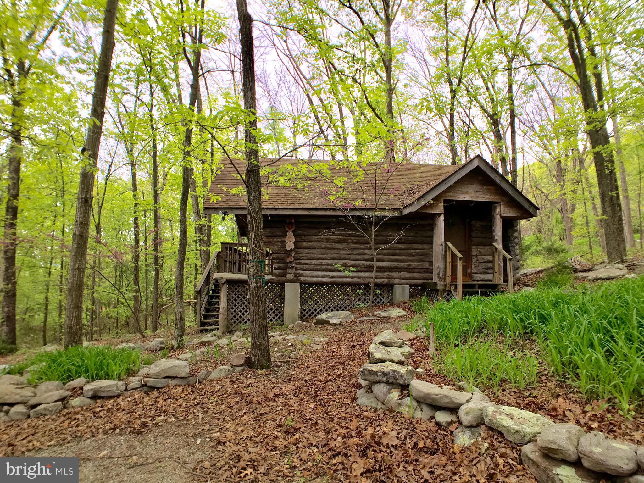 1515 Fort Valley Road Luray, VA 22835 - Photo 122 of 148 Front Exterior - Secondary Cabin