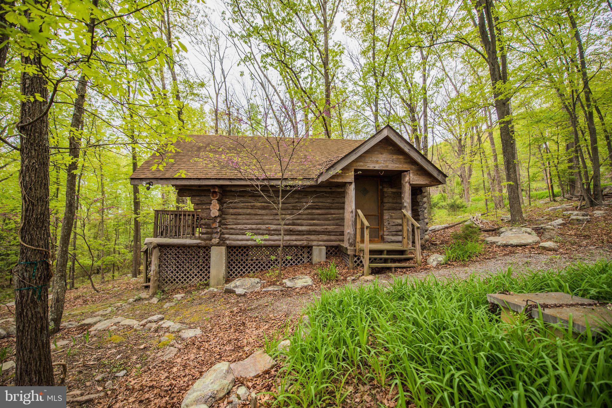1515 Fort Valley Road Luray, VA 22835 - Photo 123 of 148 Front Exterior - Secondary Cabin